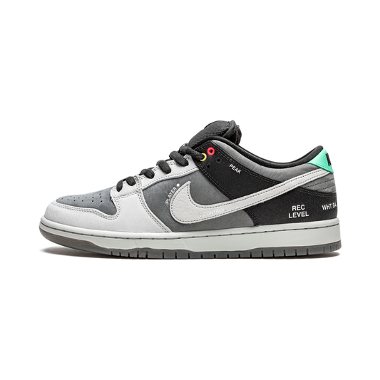 Dunk Low "VX1000 Camcorder"